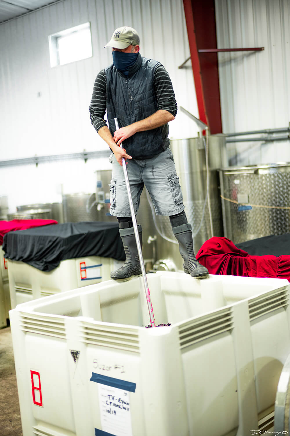 Photos with Communique Wines in McMinville, Oregon, in the Fall of 2020.